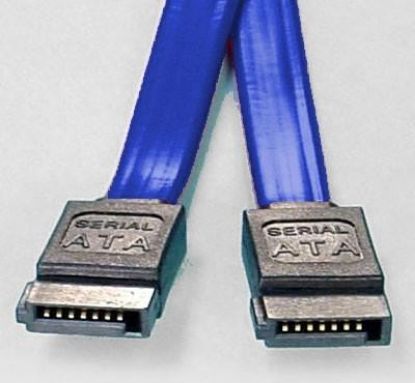 Picture of 8ware SATA 3.0 Data Cable 0.5m / 50cm Male to Male Straight 180 to 180 Degree 26AWG Blue