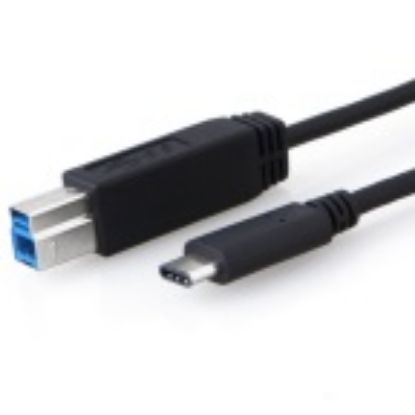 Picture of 8Ware USB-C to USB-B Cable 1m Type-C to B Male to Male Black 10Gbps