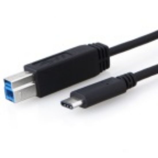 Picture of 8Ware USB-C to USB-B Cable 1m Type-C to B Male to Male Black 10Gbps