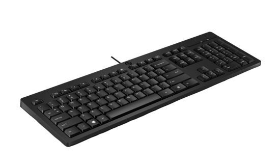 Picture of HP 125 Wired Keyboard - Compatible with Windows 10, Desktop PC, Laptop, Notebook USB Plug and Play Connectivity, Easy Cleaning 1YR WTY