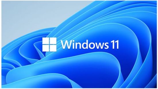Picture of Microsoft Windows 11 Professional for Workstation 64 BIT - By Order