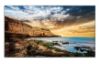 Picture of Samsung 55' QET Professional Display 4K UHD 3840x2160 8ms 4000:1 2xHDMI USB LAN 16/7 Speakers VESA Digital Signage 3YR WTY