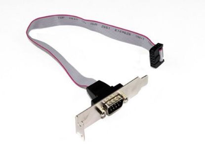 Picture of Server - Generic DB9 Serial Header Cable with Low Profile Bracket - 30cm cable length