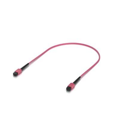 Picture of Ubiquiti Indoor OM4 Multi-mode Fiber Patch Cable, 0.5M, Single-pack, With MPO-12 Type B UPC Connectors, Designed For 100G Applications