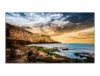 Picture of Samsung 55' QET Professional Display 4K UHD 3840x2160 8ms 4000:1 2xHDMI USB LAN 16/7 Speakers VESA Digital Signage 3YR WTY