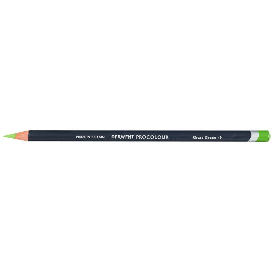 Picture of DERWENT PROCOLOUR PNC GRASS GREEN 49