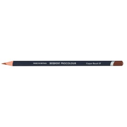 Picture of DERWENT PROCOLOUR PNC COPPER BEECH 57