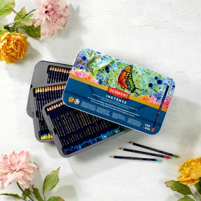 Picture of DERWENT INKTENSE PNC TIN 100