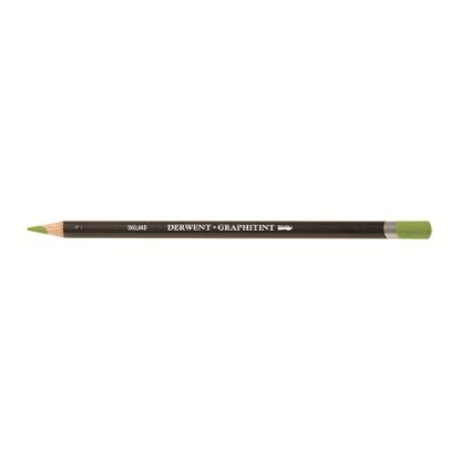 Picture of DERWENT GRAPHITINT PNC MEADOW 10