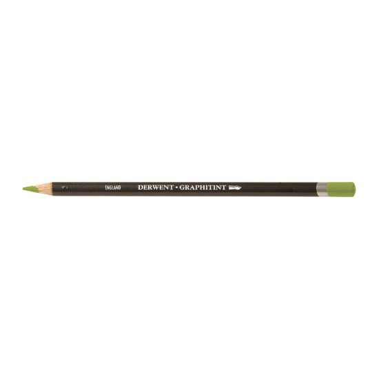 Picture of DERWENT GRAPHITINT PNC MEADOW 10