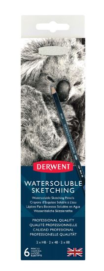 Picture of DERWENT WATERSOLUBLE SKETCH PNC TIN 6