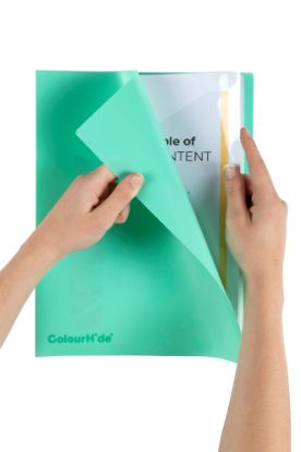 Picture of CH DISPLAY BOOK FIXED 20PKT BISCAY GREEN