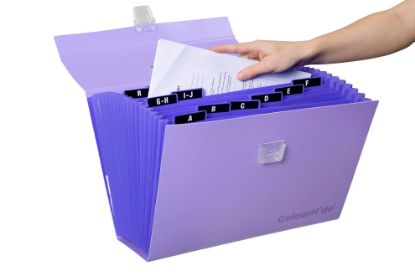 Picture of CH PP EXPANDING CARRY FILE PURPLE