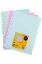 Picture of MBG BINDER DISPLAY BOOK 10 POCKET A4 AST