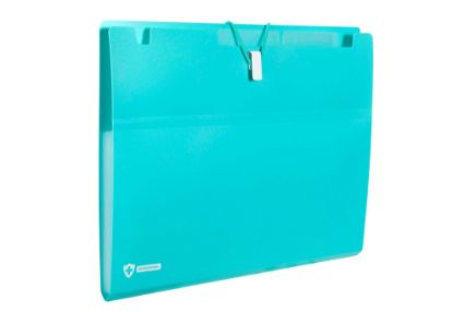 Picture of MBG PRO EXPNDNG FILE ANTIMIC 6POC A4 BLU