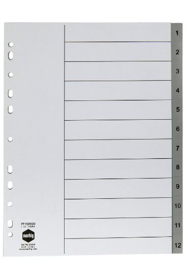 Picture of MBG INDICES GREY PP A4 1-12TAB