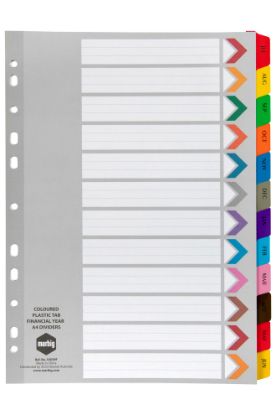 Picture of MBG DIVIDRS REINF BRD COL A4 FIN-YRTAB
