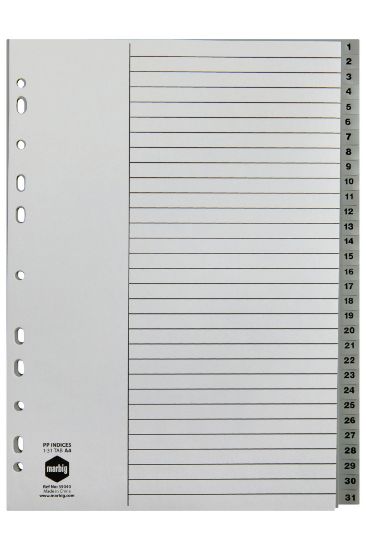 Picture of MBG INDICES GREY PP A4 1-31TAB