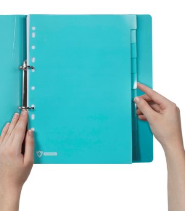 Picture of MBG PRO DIVDRS PP ANTIMIC A4 10TAB BLU