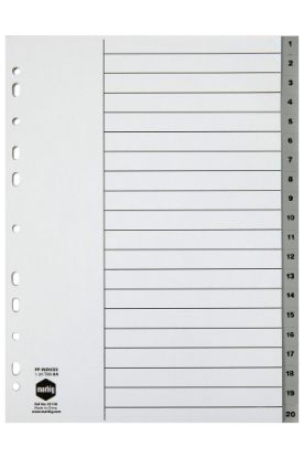 Picture of MBG INDICES GREY PP A4 1-20TAB