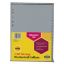 Picture of MBG INDICES GREY PP A4 1-100TAB