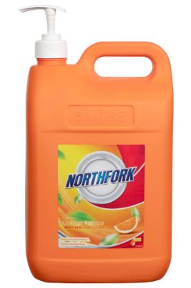 Picture of NF NATURES ORANGE PUMICE HAND CLNR 3X5L