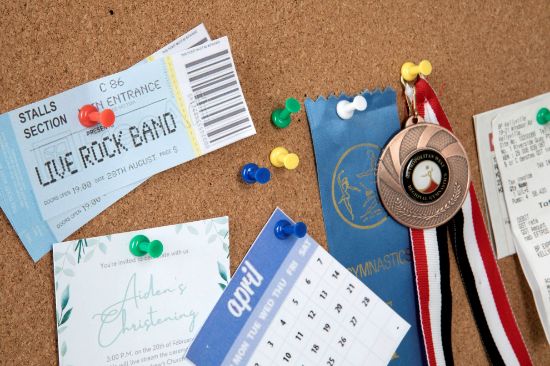 Picture of ESSELTE PUSH PINS ASSORTED PK50