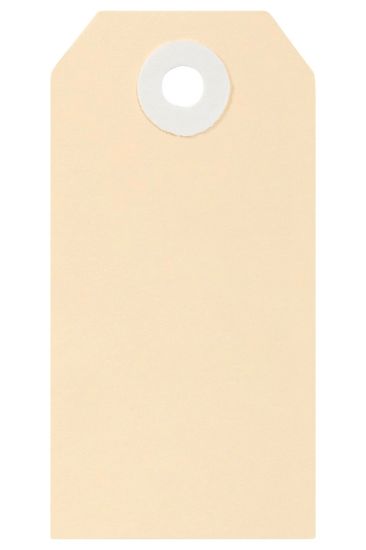 Picture of ESSELTE SHIPPING TAGS NO.2 40X82MM BUFF