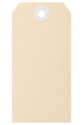 Picture of ESSELTE SHIPPING TAGS NO.4 54X108MM BUFF