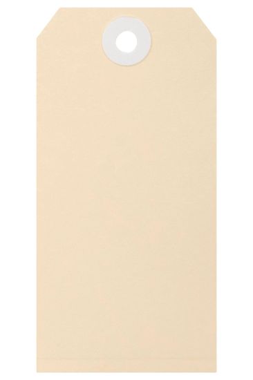 Picture of ESSELTE SHIPPING TAGS NO.4 54X108MM BUFF