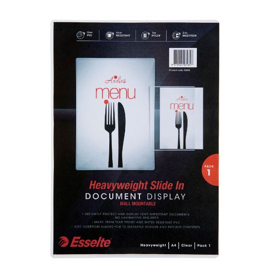Picture of ESSELTE WALL MOUNT DOC DISPLAY A4