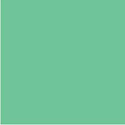 Picture of CFDAYS COLBRD FSC 200GSM 510X640 GREEN