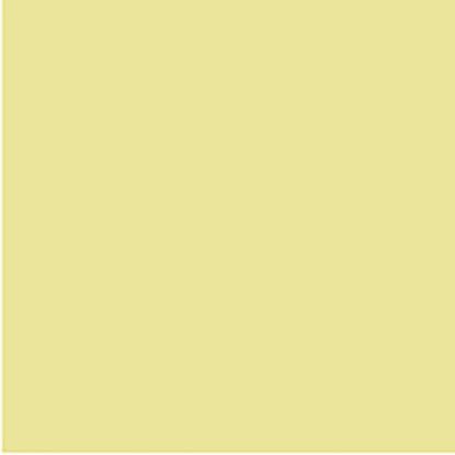 Picture of CFDAYS COLBRD FSC 200GSM 510X640 CREAM