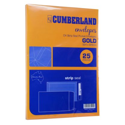 Picture of CMB ENV STP SEAL PCKT C4 GLD (10X25'S)
