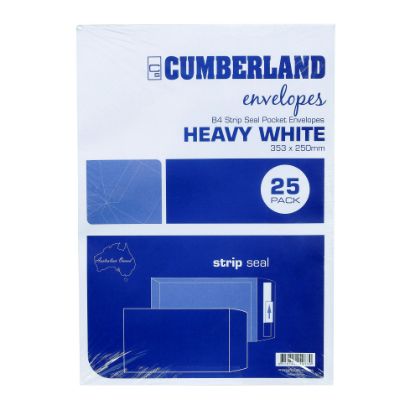 Picture of CMB ENV STP SEAL HVY PKT B4 WH BX250
