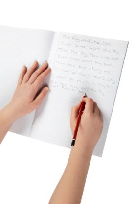 Picture of SPIRAX P115 EXERCISE BOOK A4 9MM DT 64PG