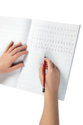 Picture of SPIRAX P117 EXERCISE BOOK A4 18MMDT 96PG