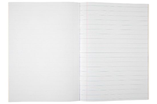 Picture of SPIRAX 141 PROJECT BOOK A4 48PG 14MM DT