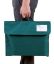 Picture of CELCO LIBRARY BAGS GREEN