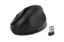 Picture of KTG DUAL WIRELESS ERGO MOUSE - BLACK