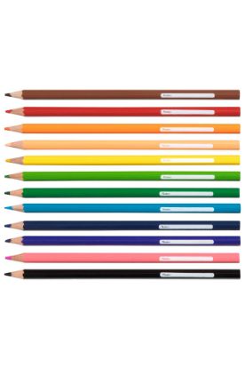 Picture of TEXTA COLOURED PENCILS  ASSTD PK12